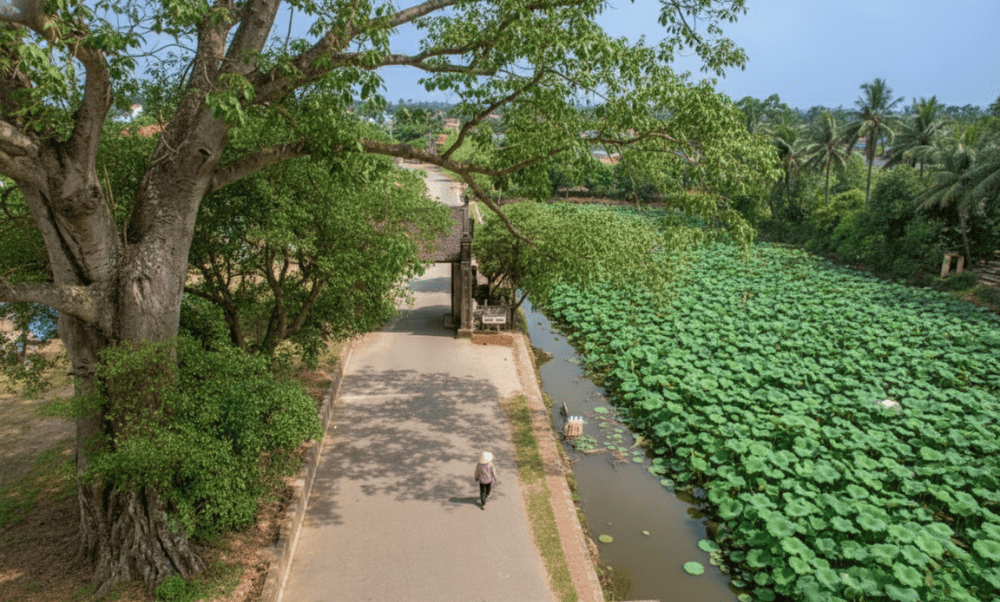 However, for a glimpse of the blooming lotus lake at the village gate, visit in May&mdash;if you don&rsquo;t mind the heat